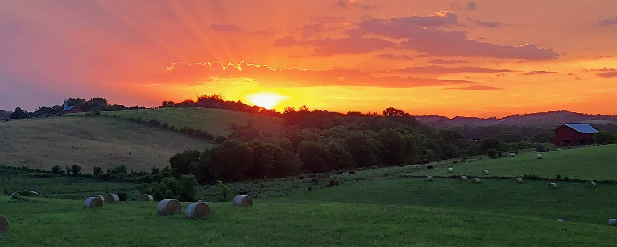 Starnes Farm sun on the horizon